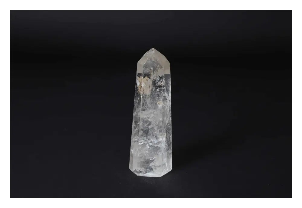 orbitvu|type:image2d