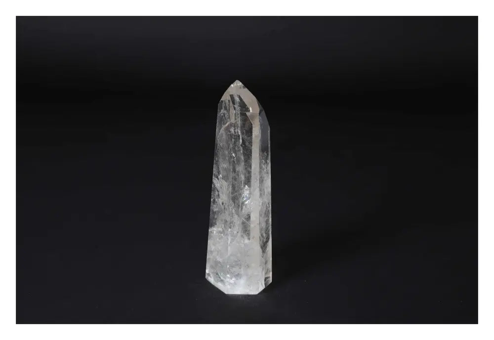 orbitvu|type:image2d