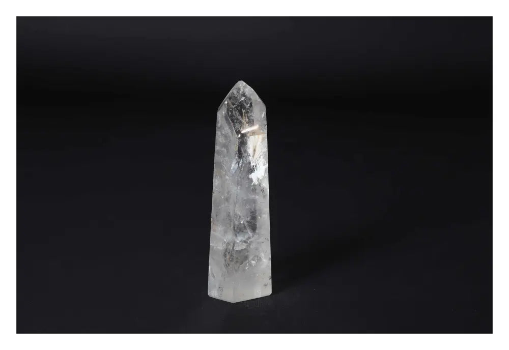 orbitvu|type:image2d