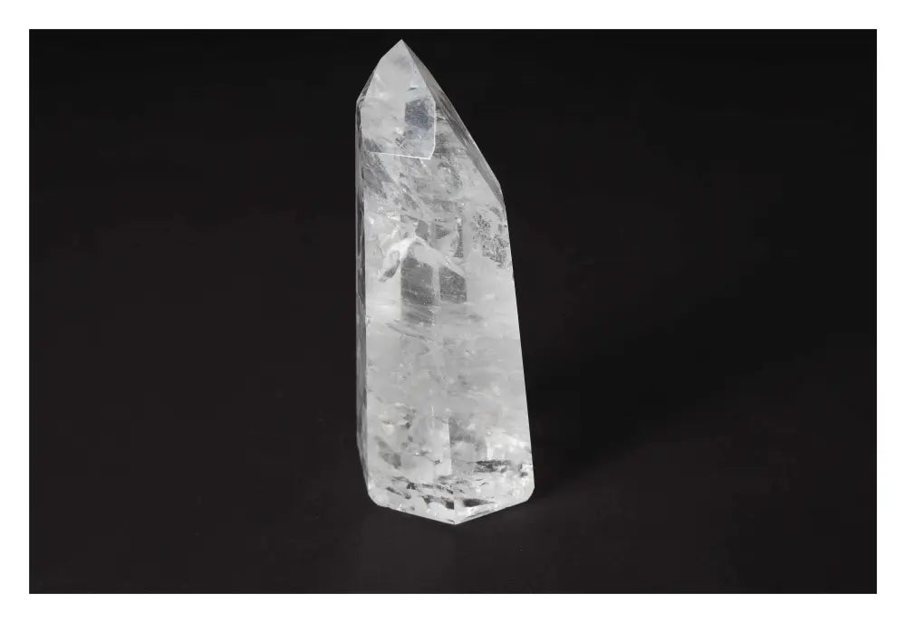 orbitvu|type:image2d