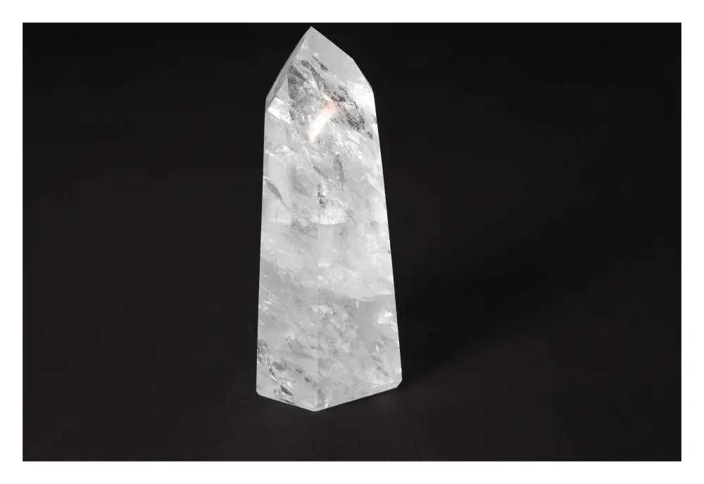 orbitvu|type:image2d