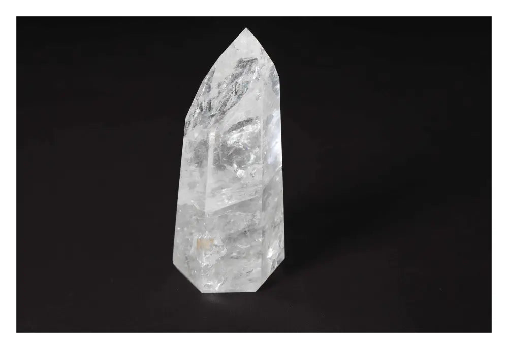 orbitvu|type:image2d