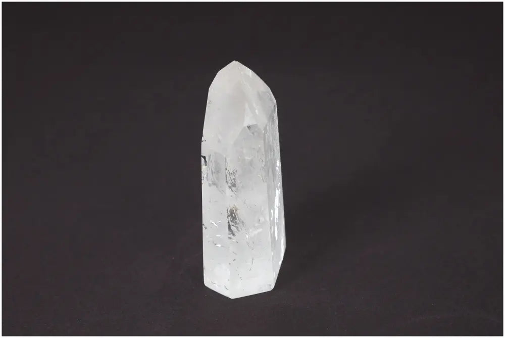 orbitvu|type:image2d