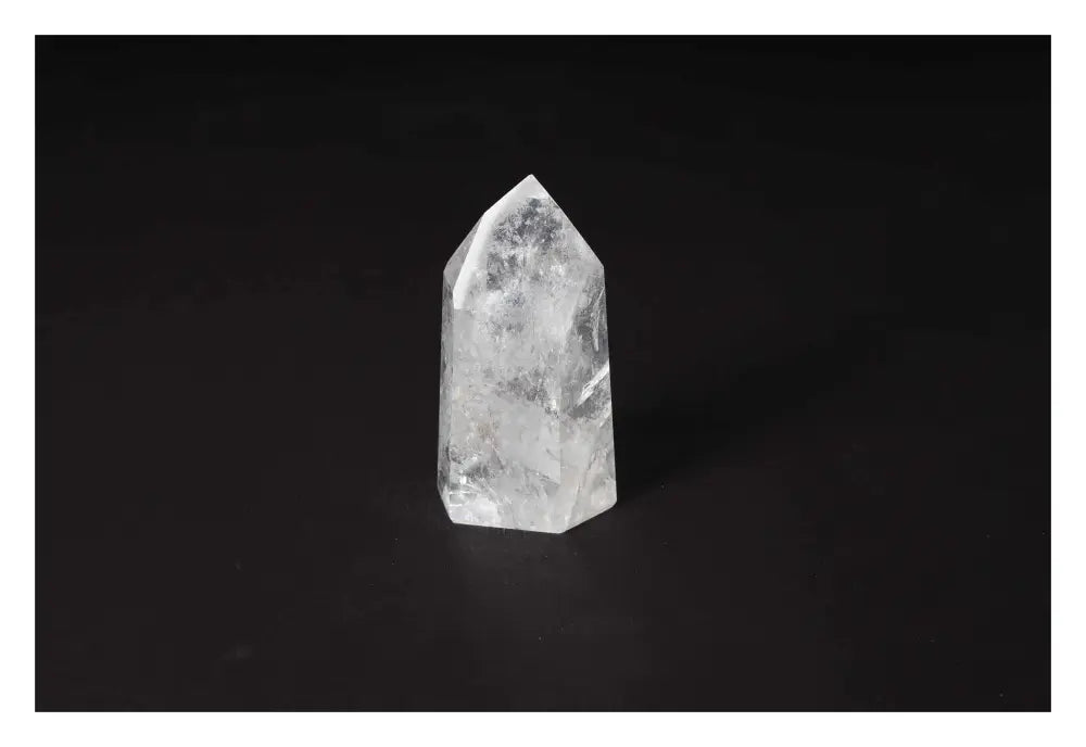 orbitvu|type:image2d