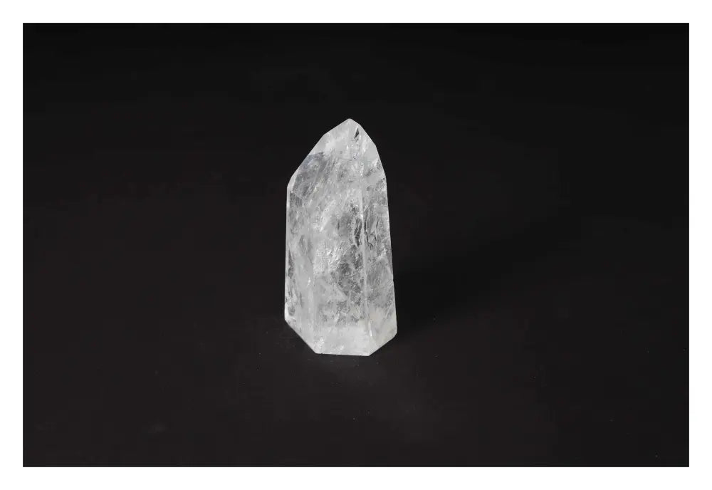 orbitvu|type:image2d