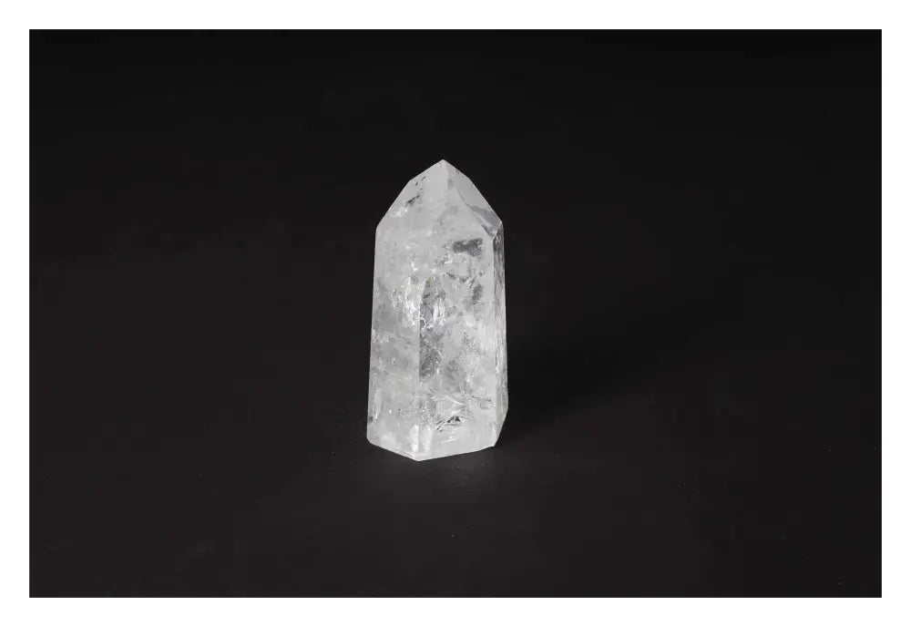 orbitvu|type:image2d