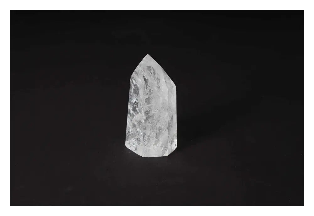 orbitvu|type:image2d