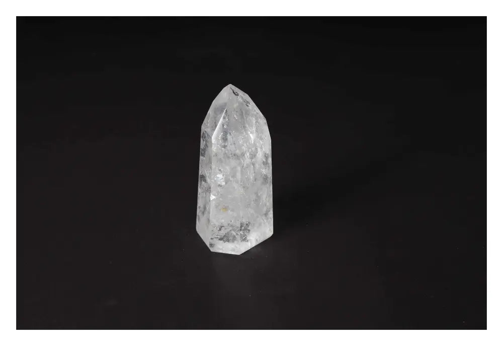 orbitvu|type:image2d