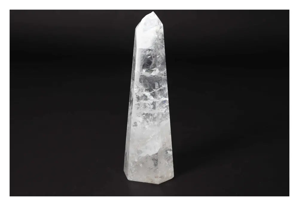 orbitvu|type:image2d