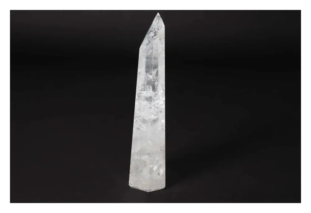 orbitvu|type:image2d