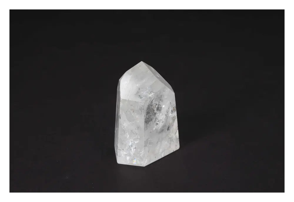 orbitvu|type:image2d