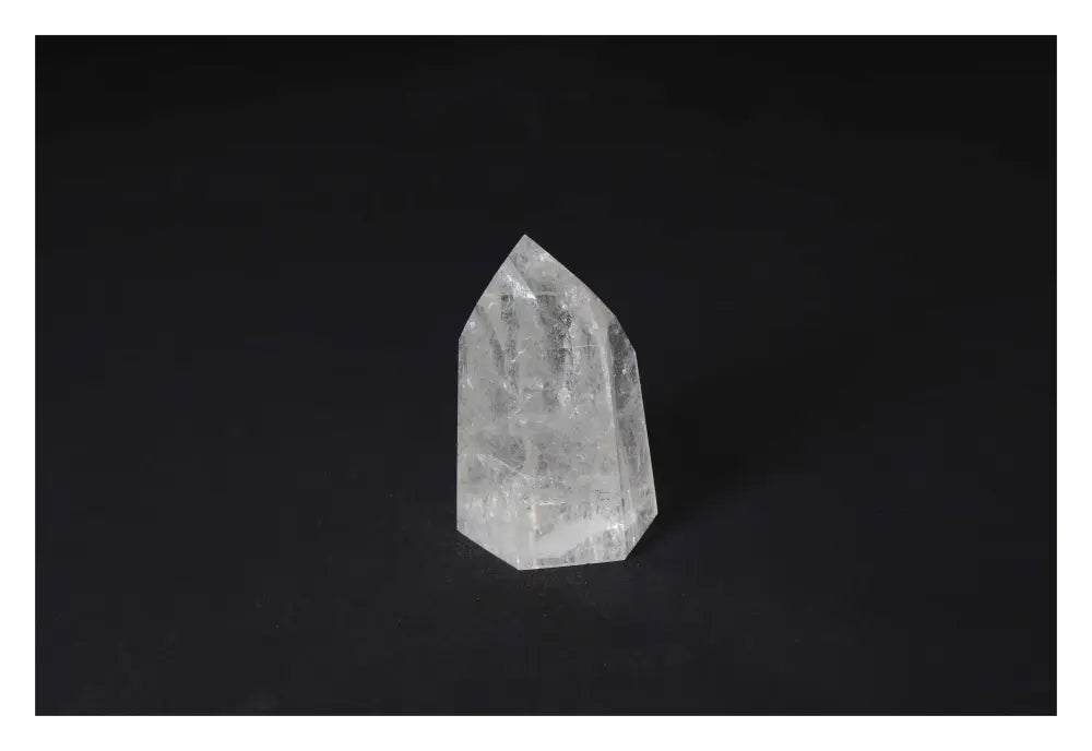 orbitvu|type:image2d