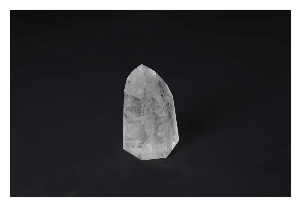 orbitvu|type:image2d