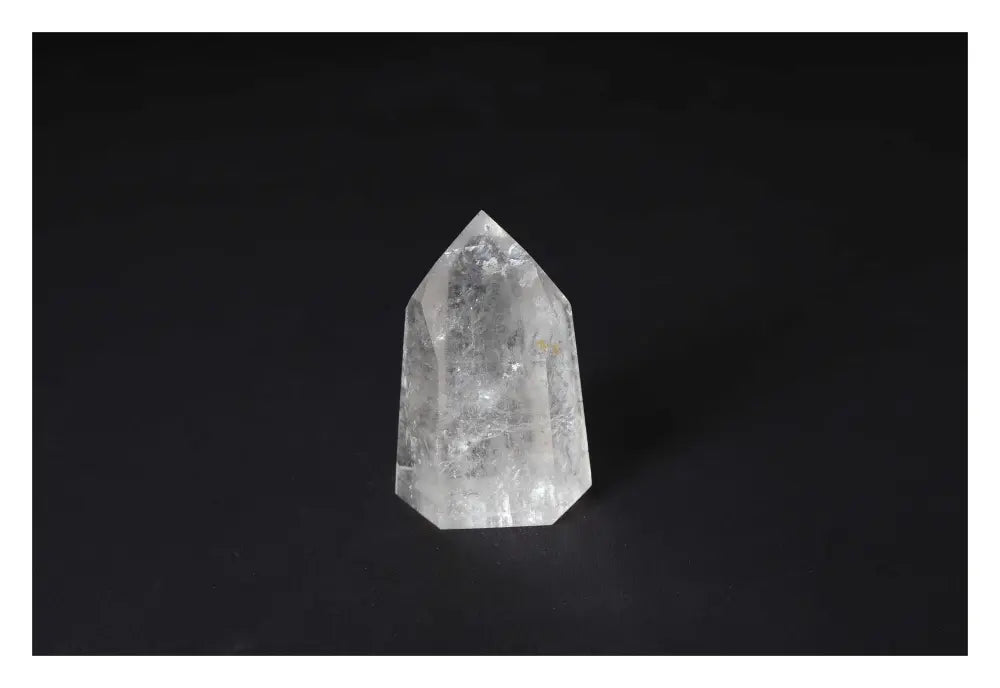 orbitvu|type:image2d