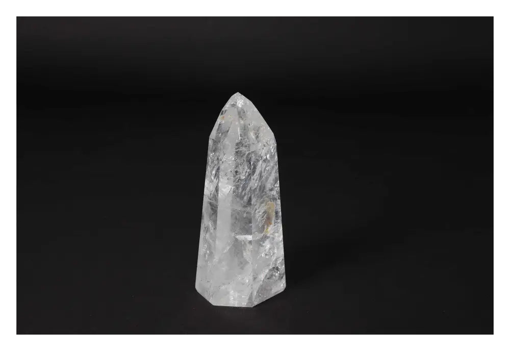 orbitvu|type:image2d