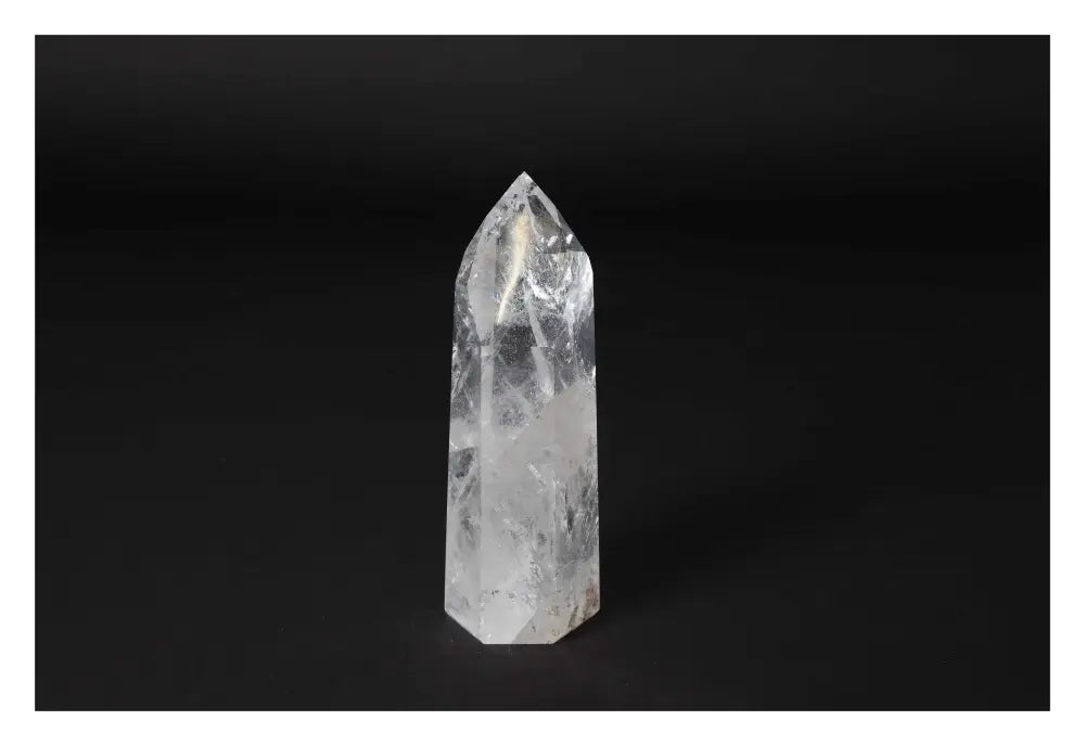 orbitvu|type:image2d