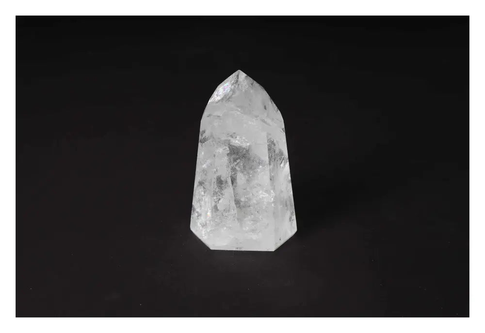 orbitvu|type:image2d