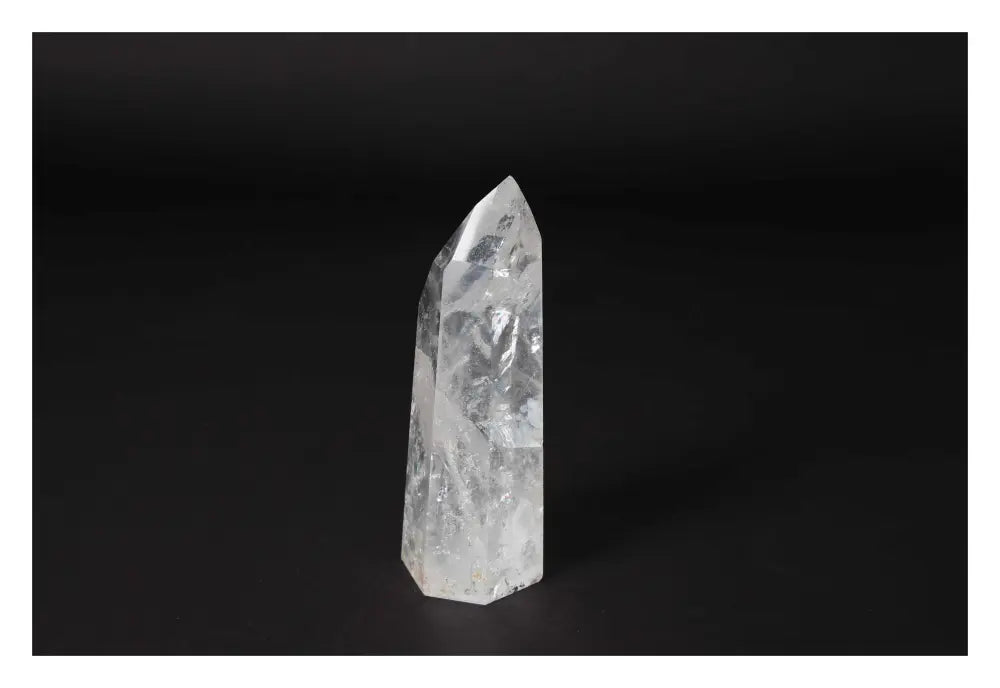 orbitvu|type:image2d