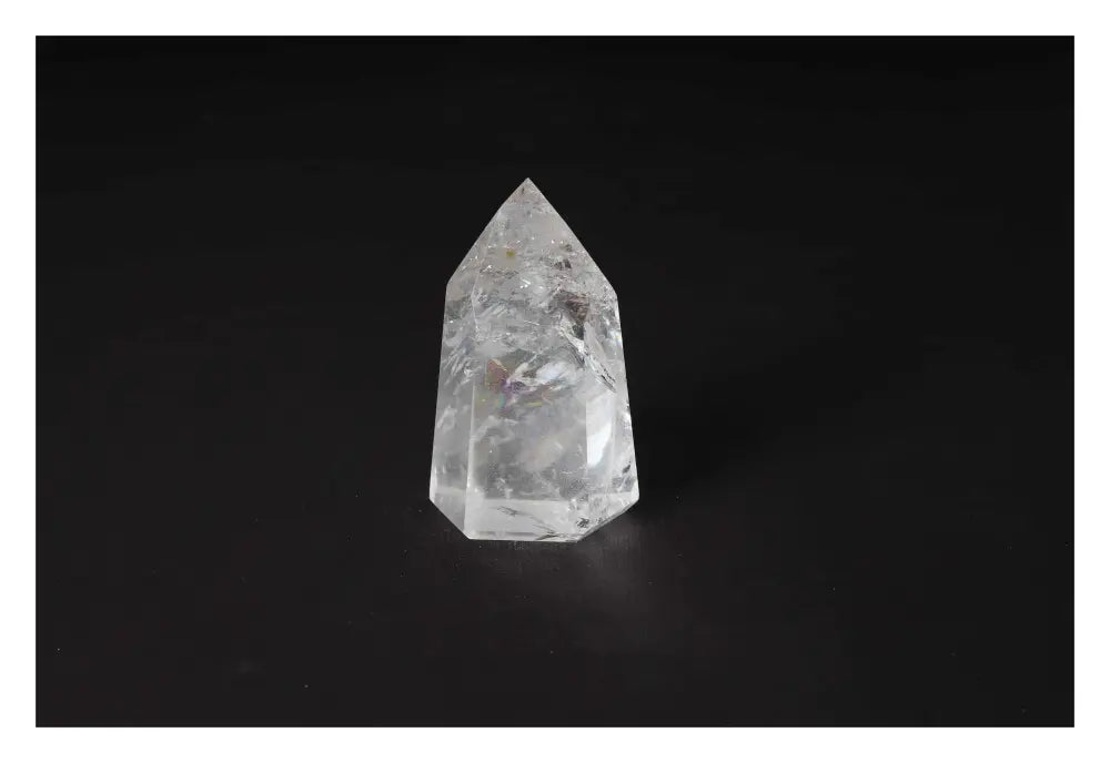 orbitvu|type:image2d