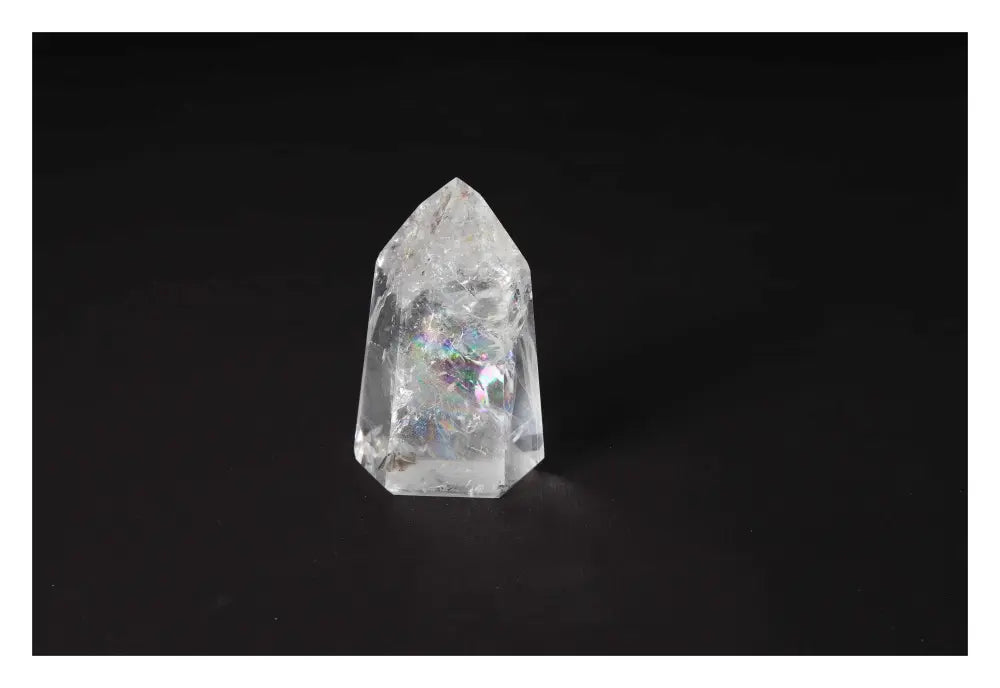 orbitvu|type:image2d