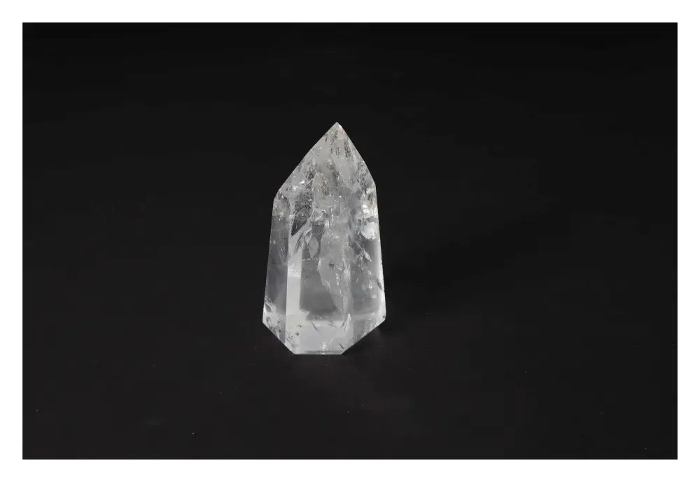 orbitvu|type:image2d