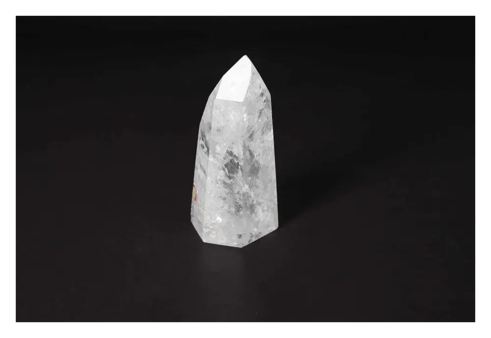 orbitvu|type:image2d