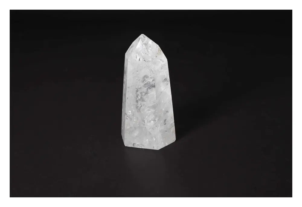 orbitvu|type:image2d