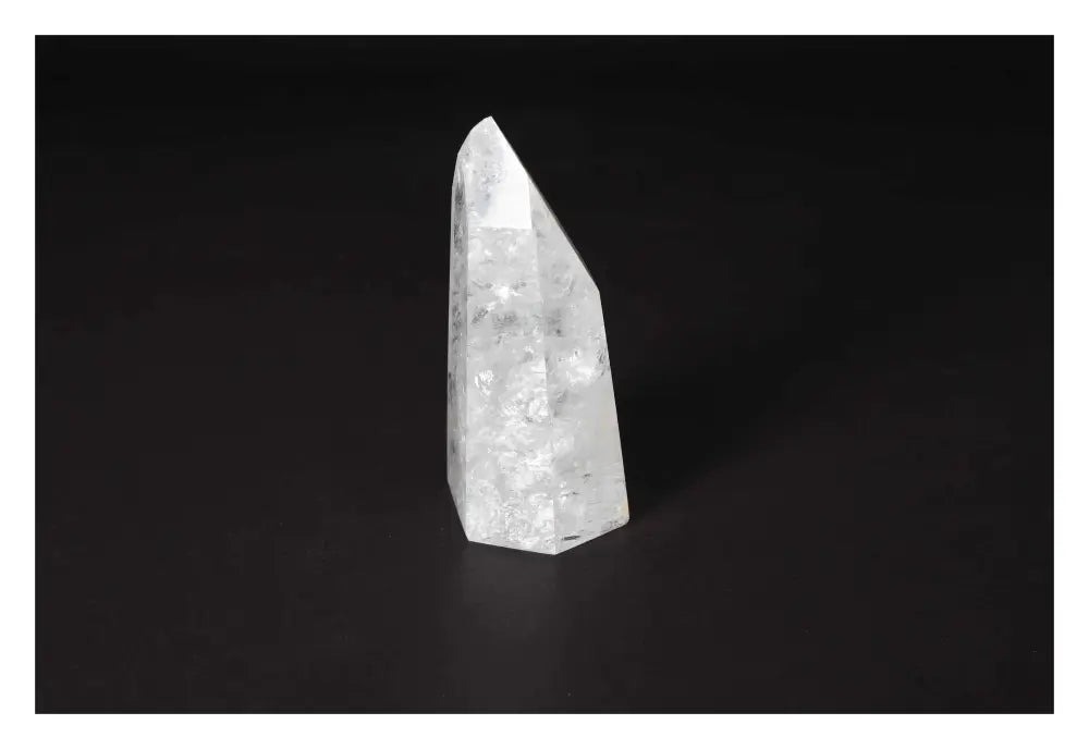 orbitvu|type:image2d