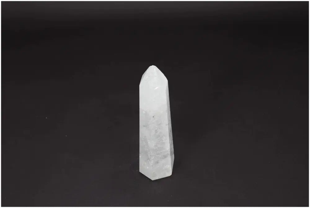 orbitvu|type:image2d