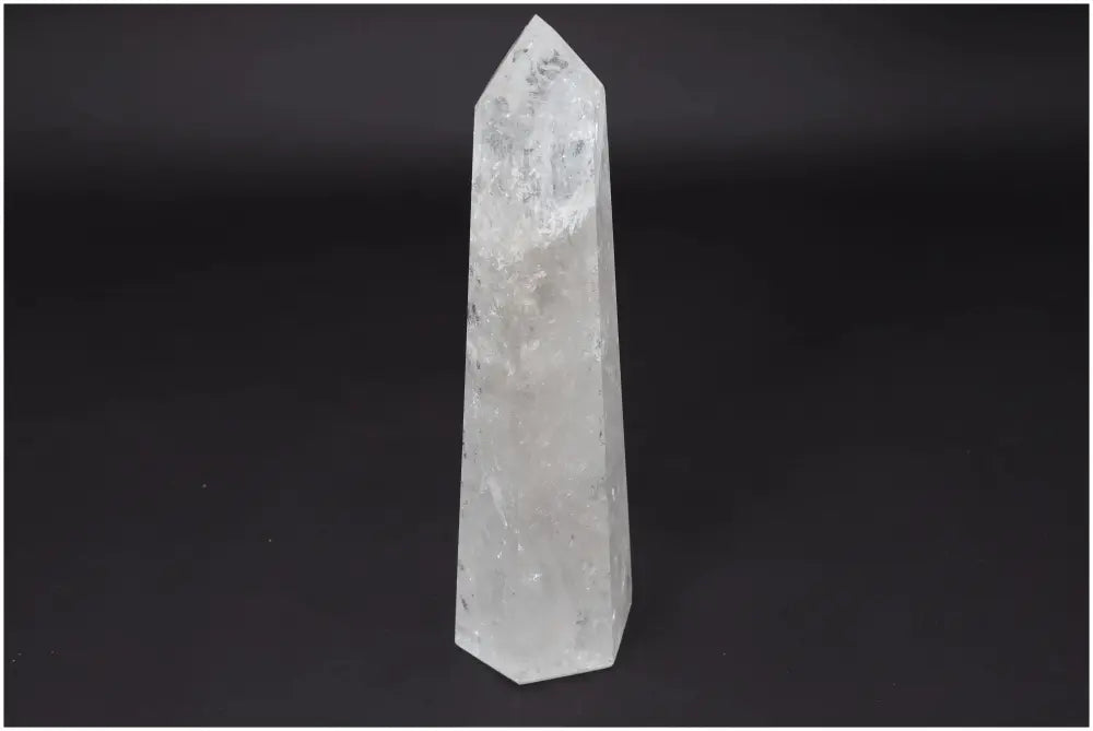 orbitvu|type:image2d