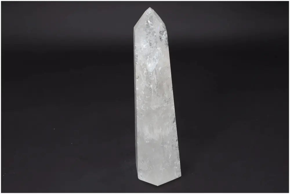 orbitvu|type:image2d