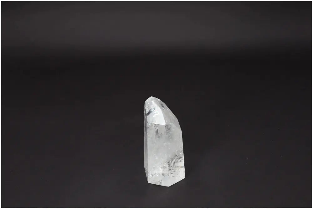 orbitvu|type:image2d