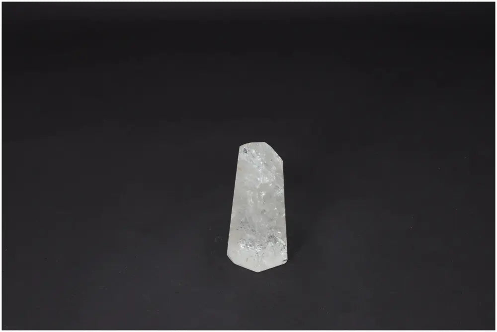 orbitvu|type:image2d