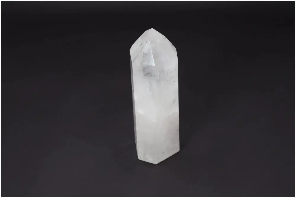 orbitvu|type:image2d