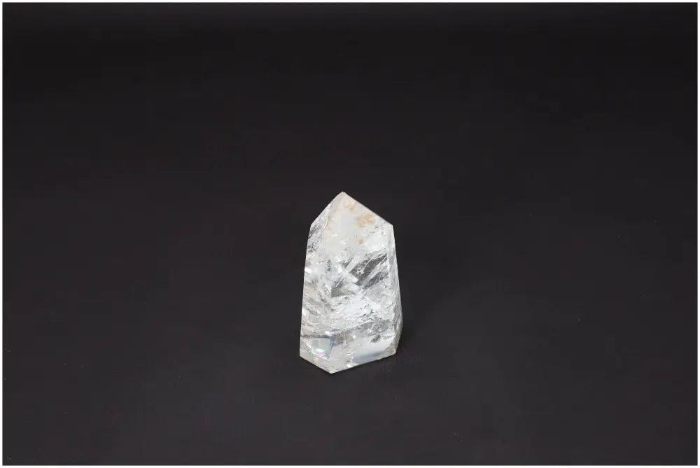 orbitvu|type:image2d