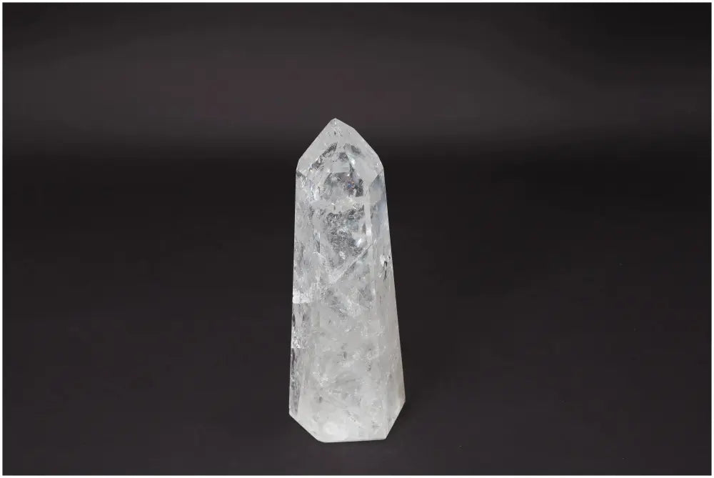 orbitvu|type:image2d