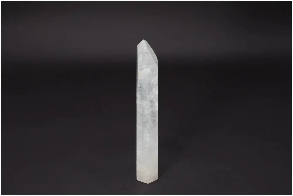 orbitvu|type:image2d