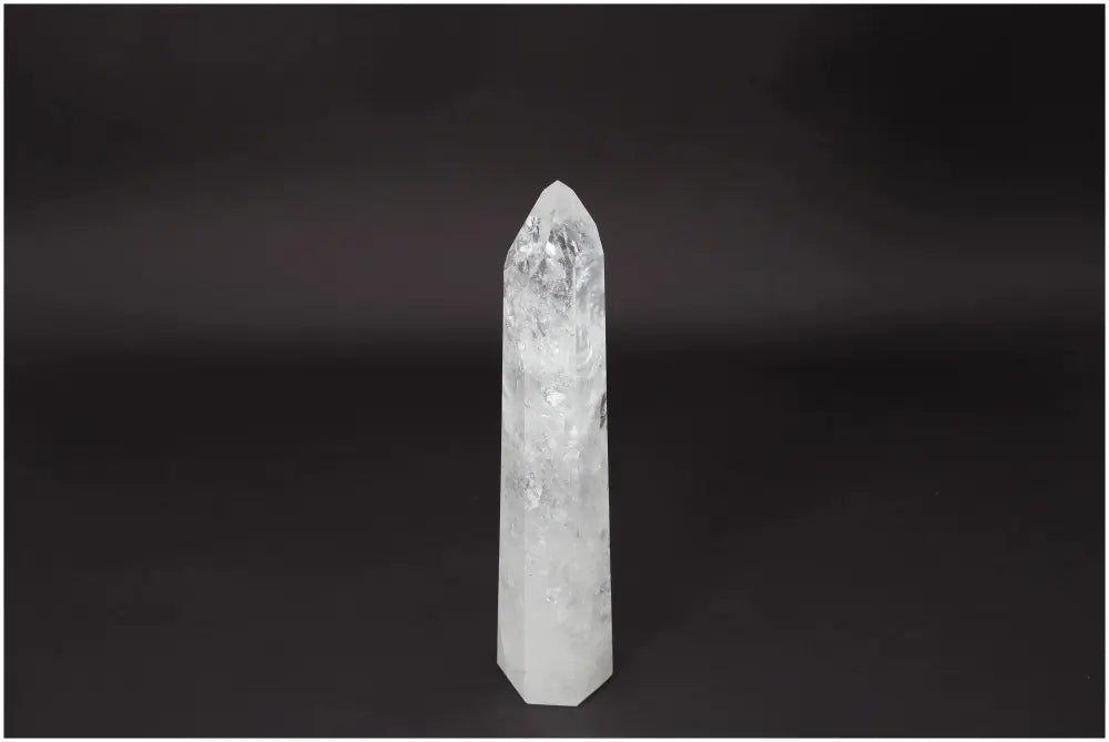 orbitvu|type:image2d