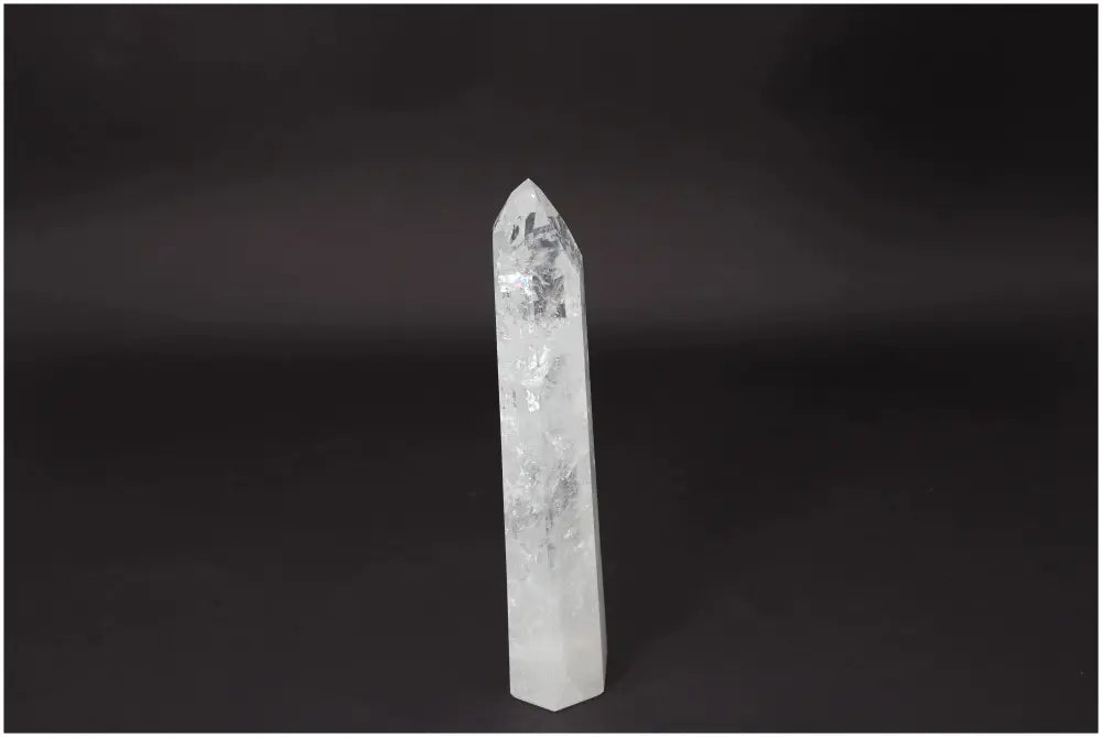 orbitvu|type:image2d