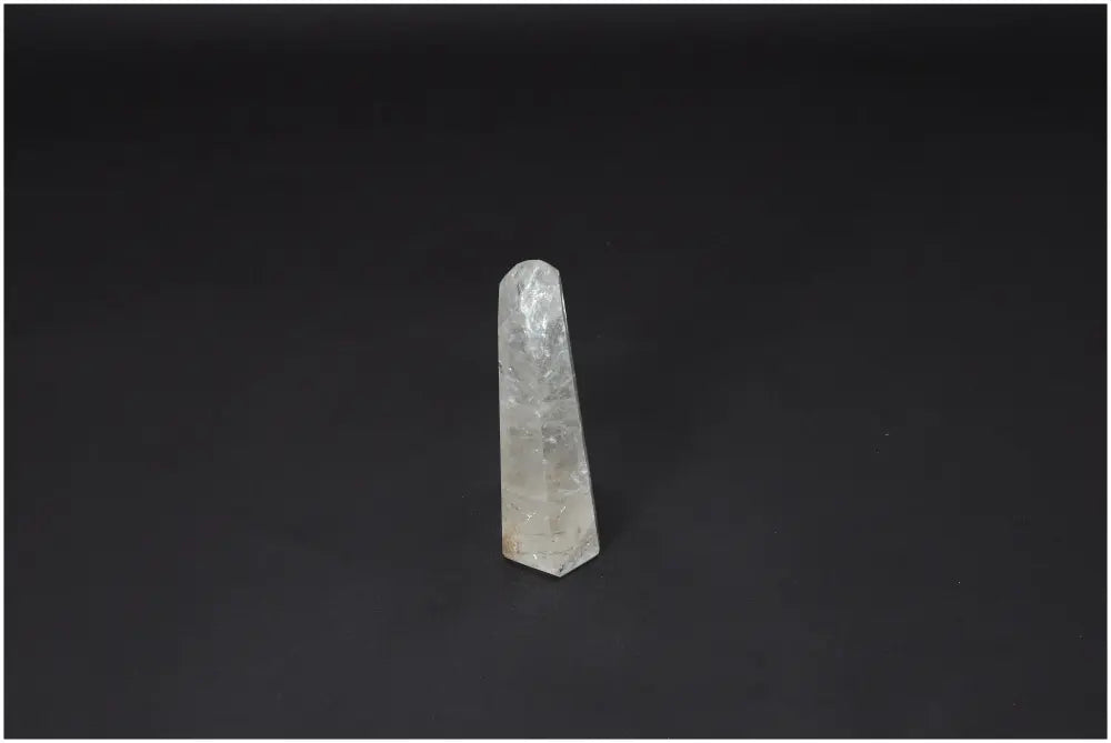 orbitvu|type:image2d