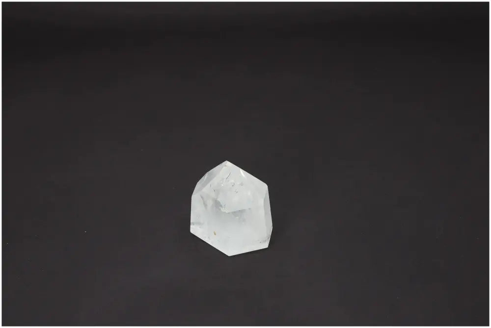 orbitvu|type:image2d