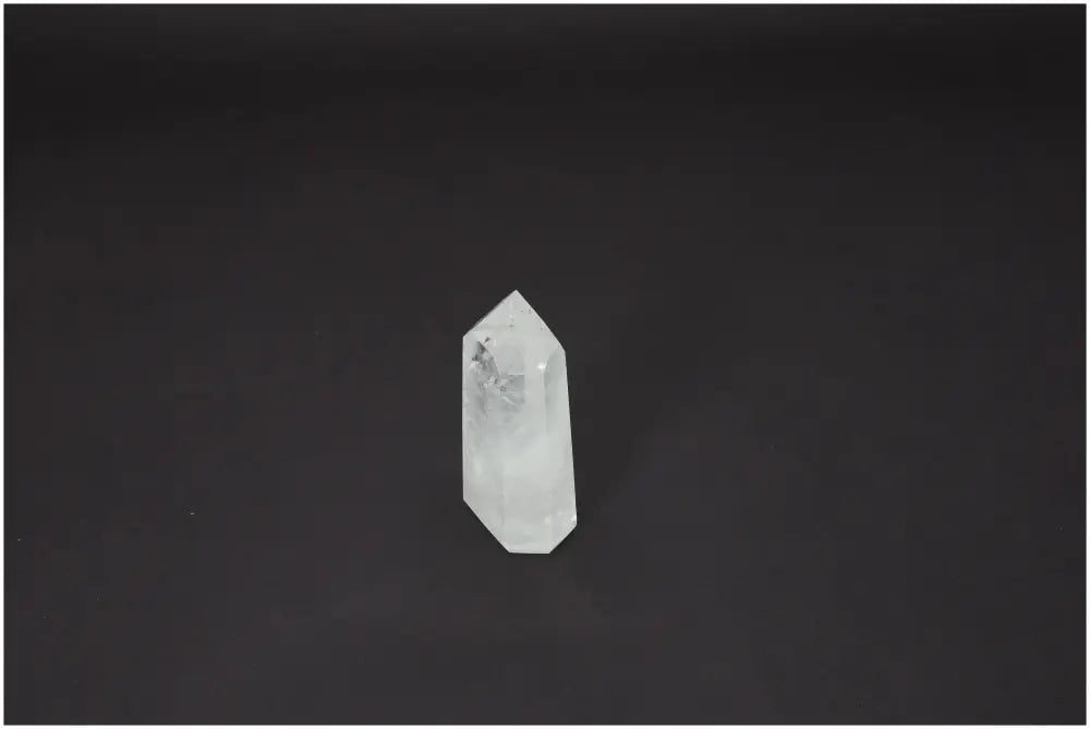 orbitvu|type:image2d