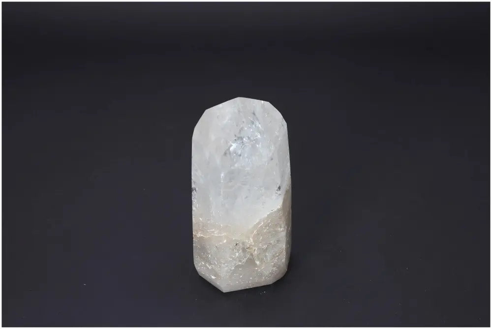 orbitvu|type:image2d