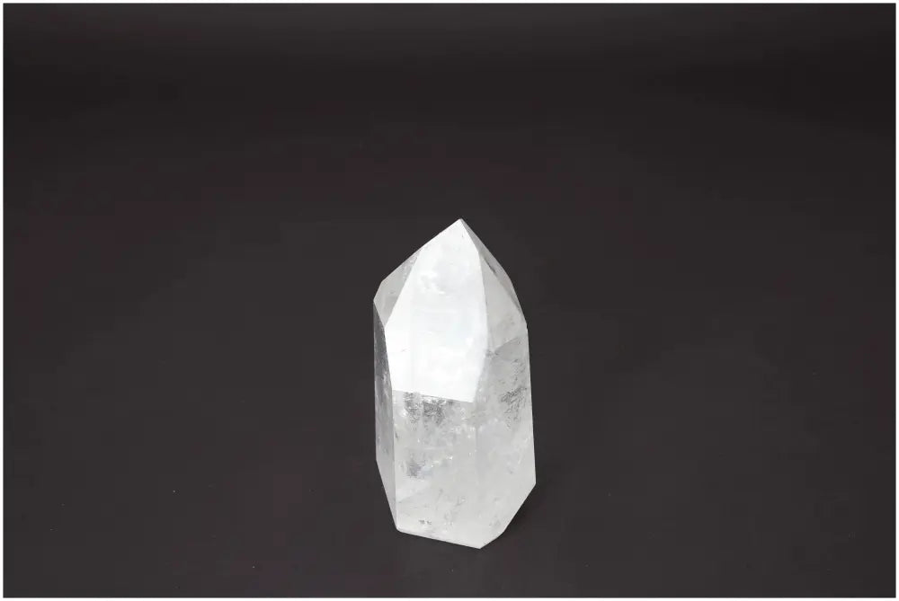 orbitvu|type:image2d