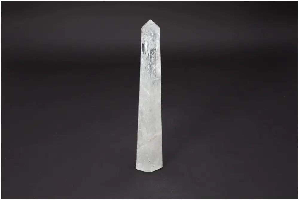 orbitvu|type:image2d