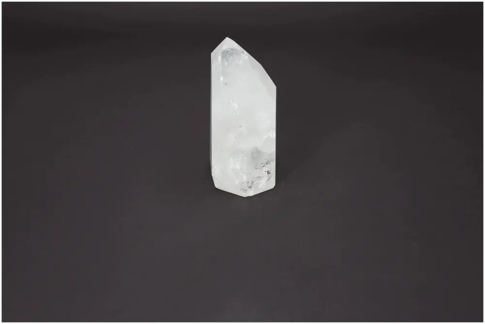 orbitvu|type:image2d