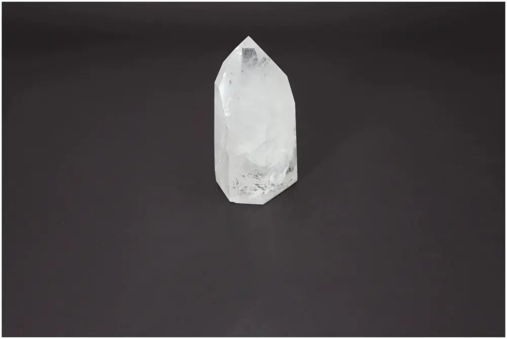 orbitvu|type:image2d