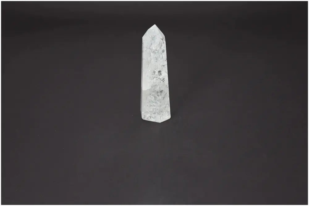 orbitvu|type:image2d