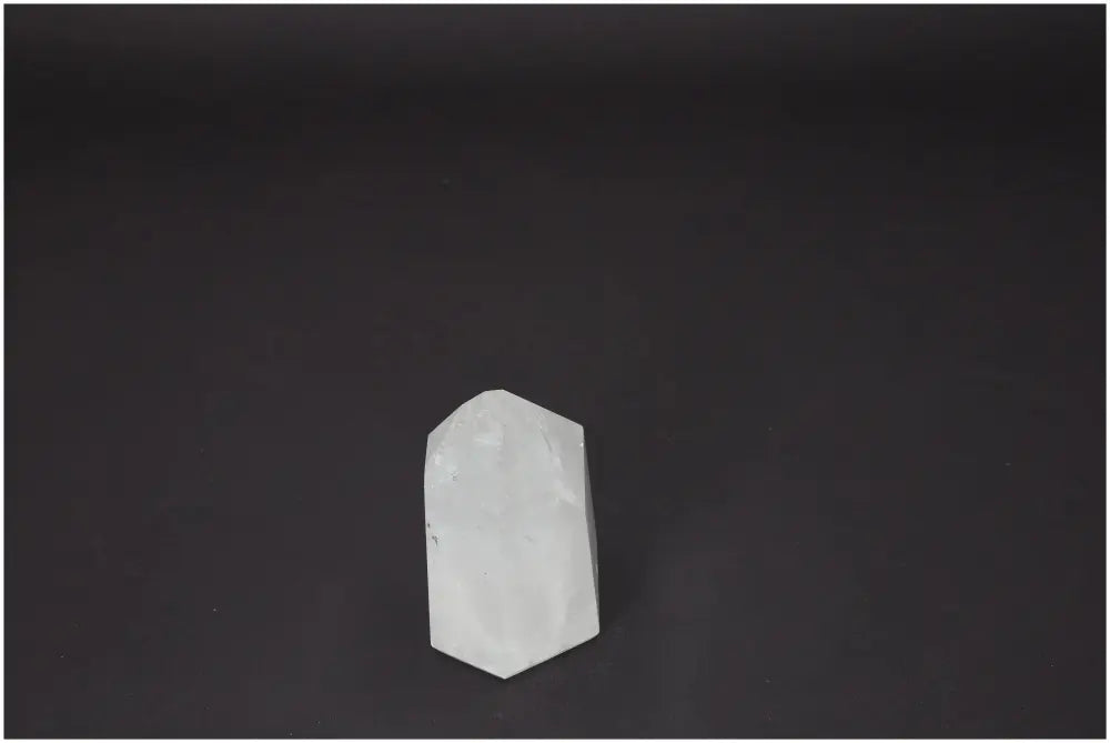 orbitvu|type:image2d