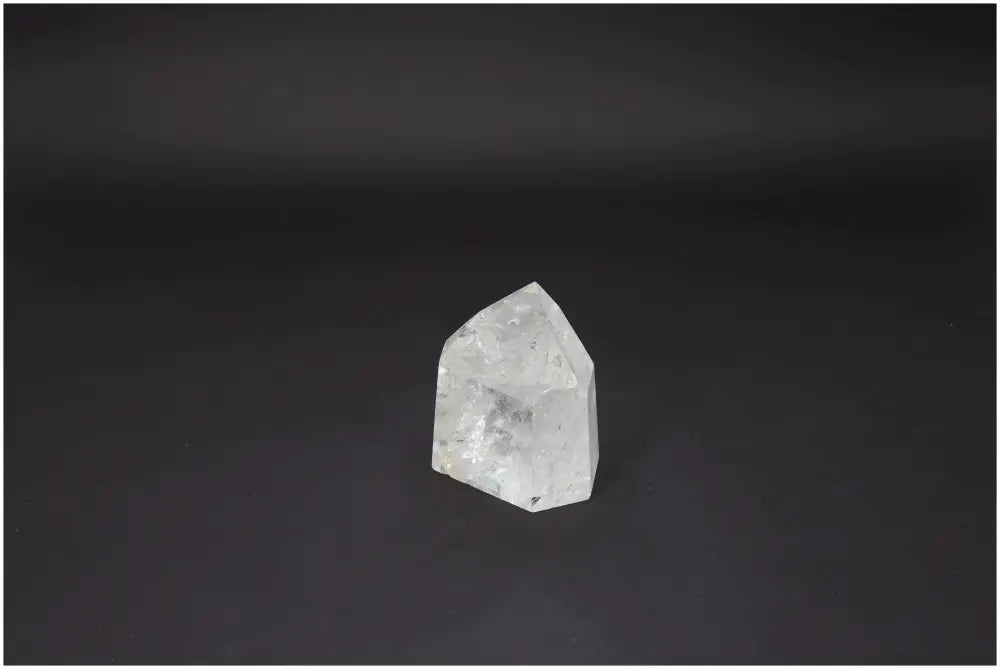 orbitvu|type:image2d